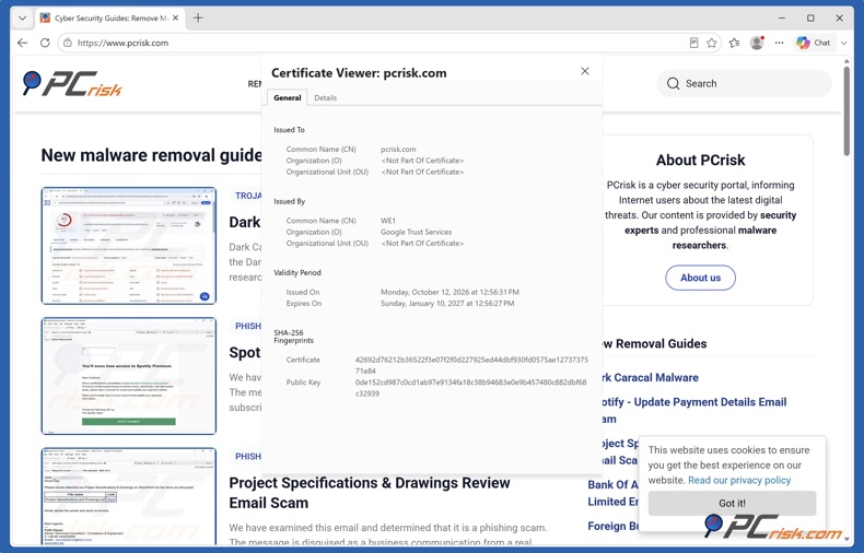 Détails du certificat SSL dans Microsoft Edge