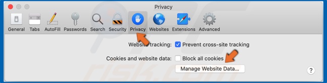 Sélectionnez Confidentialité et cliquez sur Gérer les données du site Web