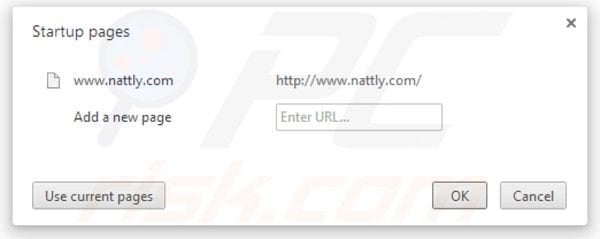 Page d'accueil de Nattly dans Google Chrome