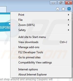 Suppression de RR Savings dans Internet Explorer étape 1