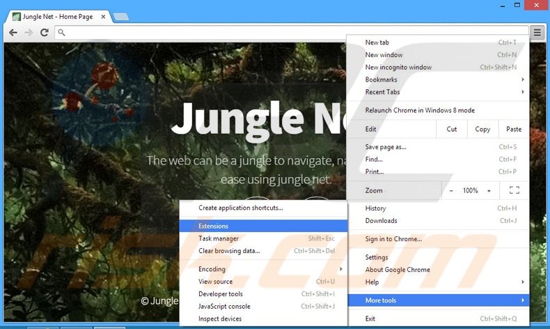 Suppression des publicités Jungle Net dans Google Chrome étape 1