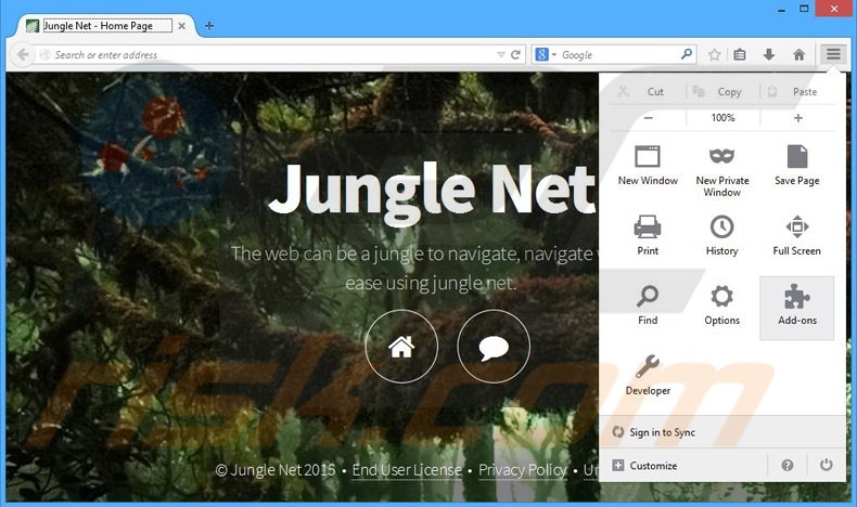Suppression des publicités Jungle Net dans Mozilla Firefox étape 1