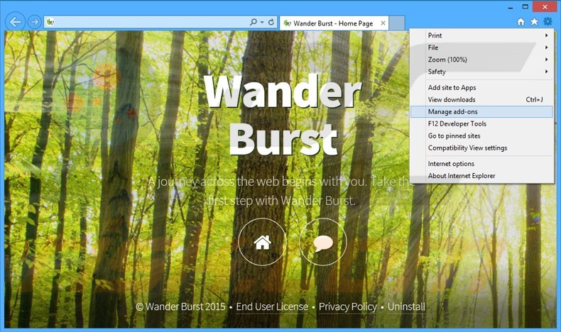 Suppression des publicités Wander Burst dans Internet Explorer étape 1