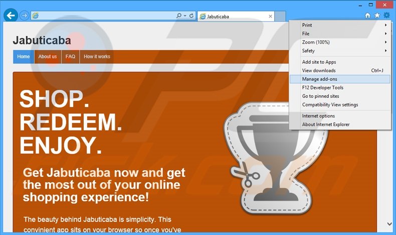 Suppression des publicités Jabuticaba dans Internet Explorer étape 1