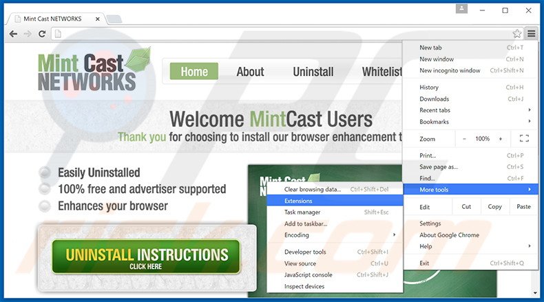 Suppression des publicités Mint Cast Networks dans Google Chrome étape 1