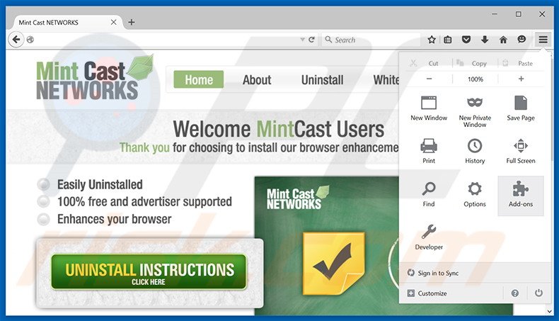 Suppression des publicités Mint Cast Networks dans Mozilla Firefox étape 1