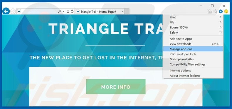 Suppression des publicités Triangle Trail dans Internet Explorer étape 1