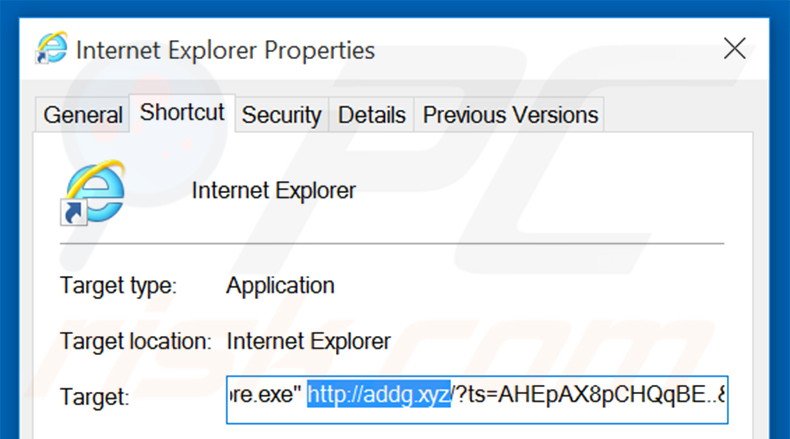 Suppression du raccourci cible d'addg.xyz dans Internet Explorer étape 2