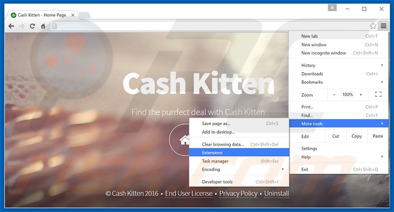 Suppression des publicités Cash Kitten dans Google Chrome étape 1
