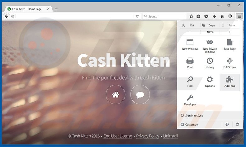 Suppression des publicités Cash Kitten dans Mozilla Firefox étape 1
