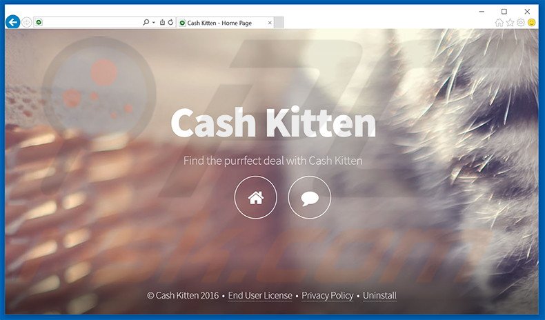 Logiciel de publicité Cash Kitten 
