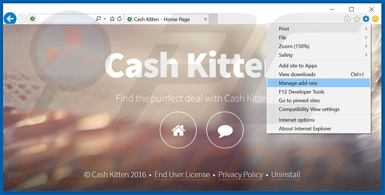 Suppression des publicités Cash Kitten dans Internet Explorer étape 1