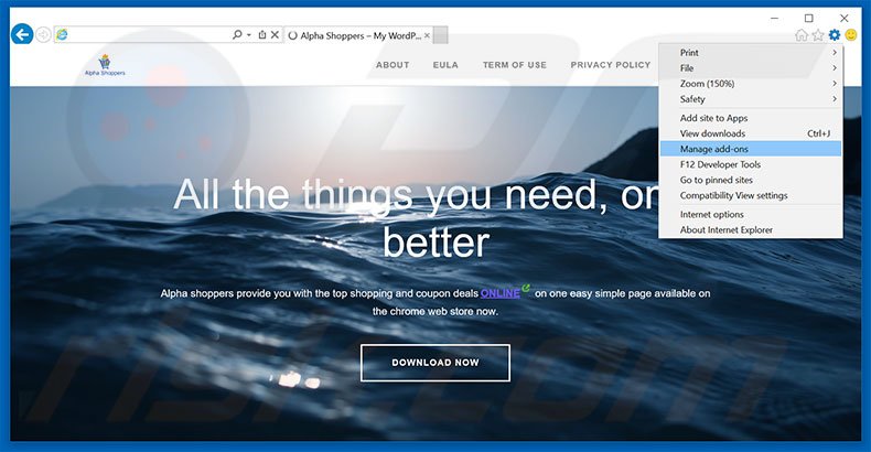 Suppression des publicités Alpha Shoppers dans Internet Explorer étape 1