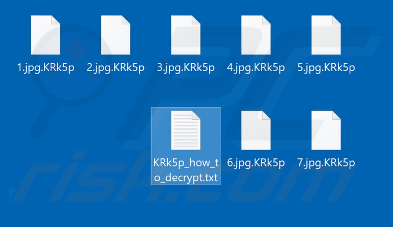 Files encrypted by IS