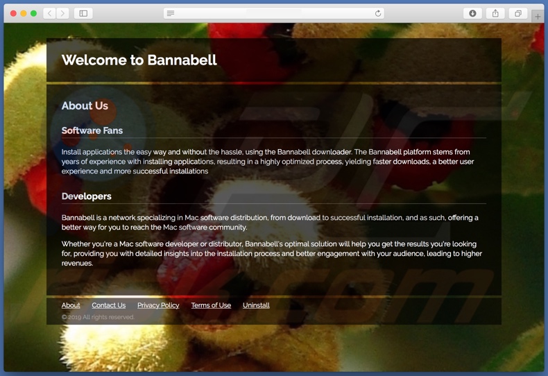 Dubious website used to promote search.bannabell.com