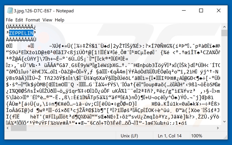 Fichier crypté du ransomware ZEPPELIN avec marqueur de fichier ajouté