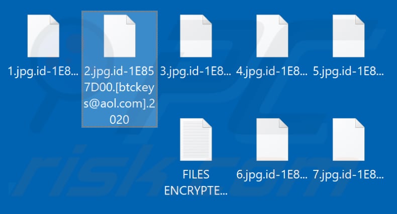 Files encrypted by .2020 ransomware (.2020 extension)
