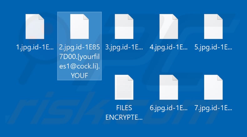 Fichiers cryptés par le ransomware YOUF (extension .YOUF)