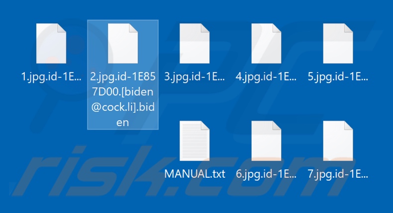 Fichiers cryptés par le ransomware Biden (extension .biden)