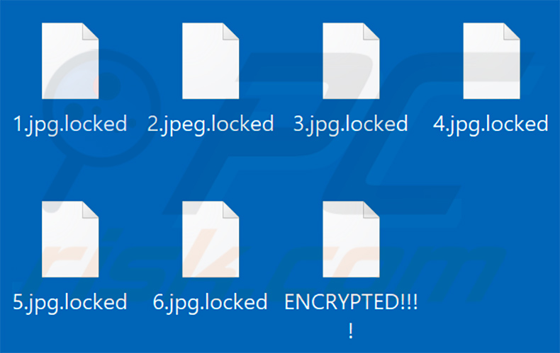 Fichiers cryptés par Chaos ransomware (extension .locked)