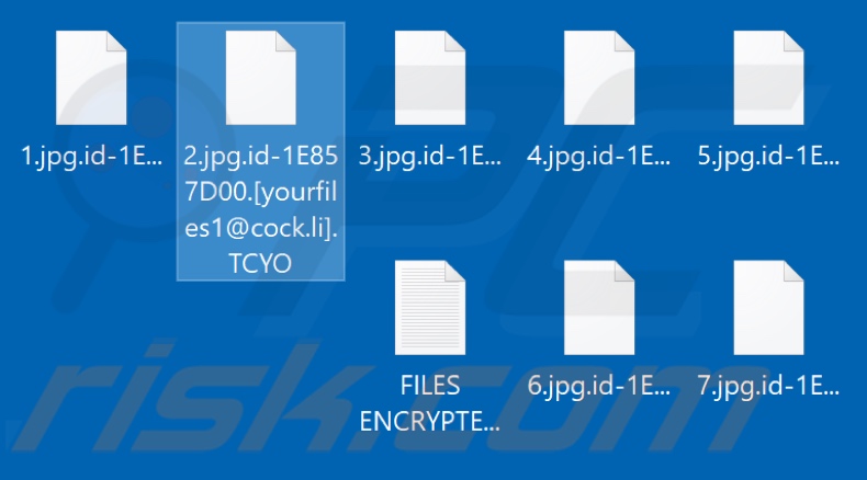 Fichiers cryptés par le ransomware TCYO (extension .TCYO)