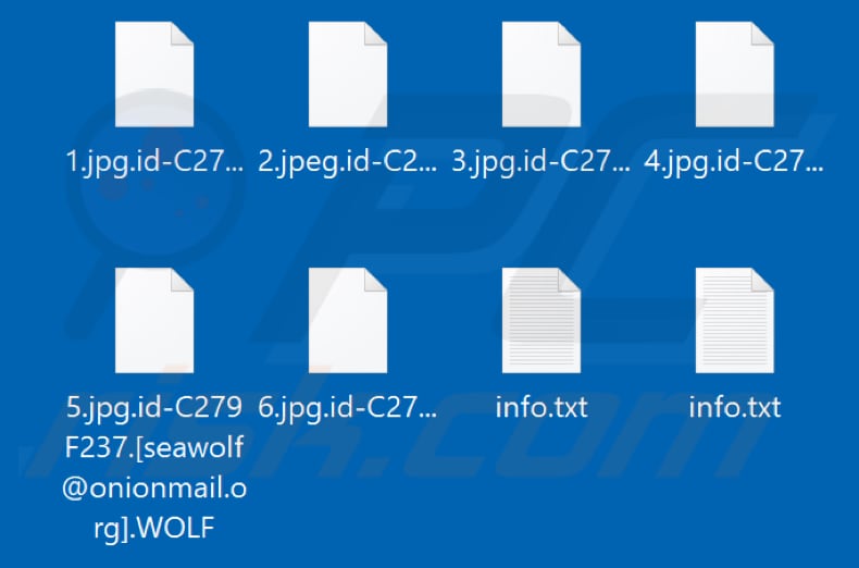 Fichiers cryptés par le ransomware WOLF (extension .WOLF)