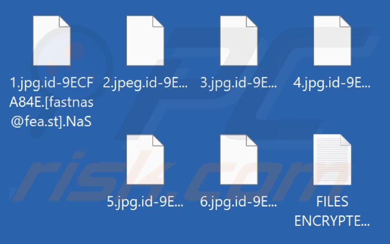 Fichiers chiffrés par le ransomware NaS (extension .NaS)