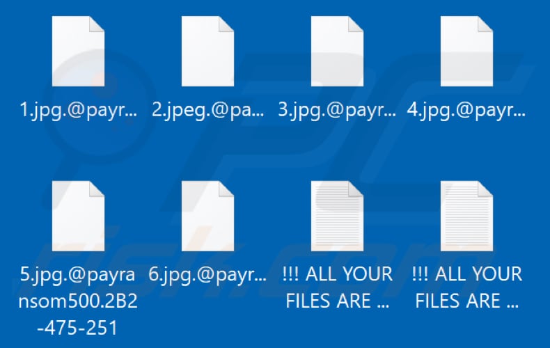 Fichiers cryptés par le ransomware Payransom500 (extension .@payransom500.[victim's_ID])