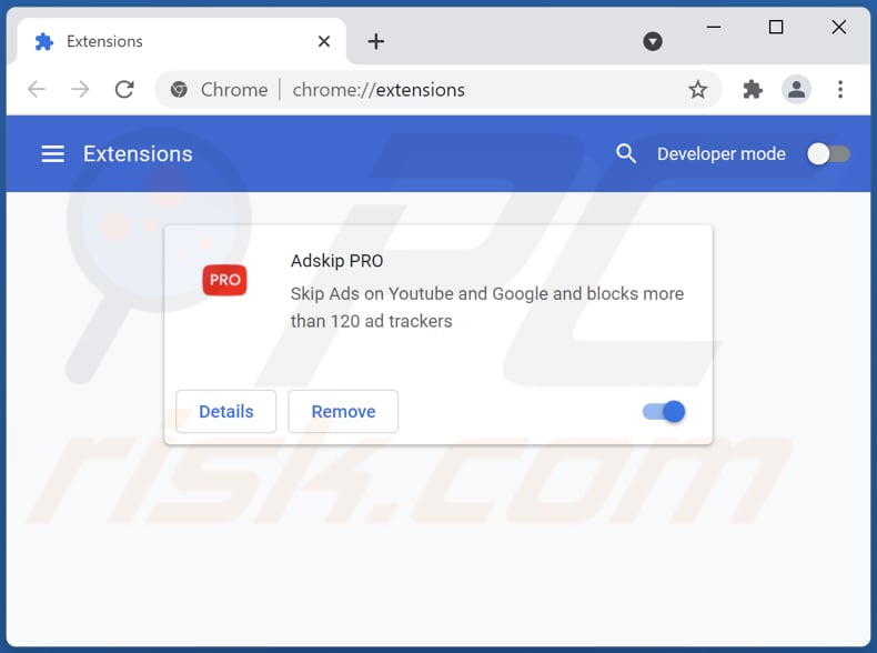 Suppression des publicités Adskip PRO de Google Chrome étape 2