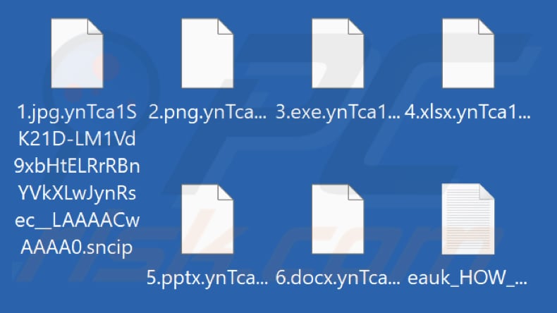 Fichiers cryptés par le rançongiciel Sncip (extension .sncip)