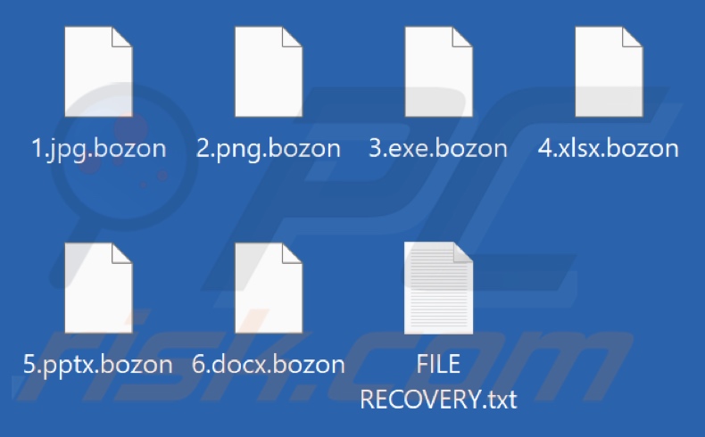 Fichiers cryptés par le rançongiciel Bozon (extension .bozon)