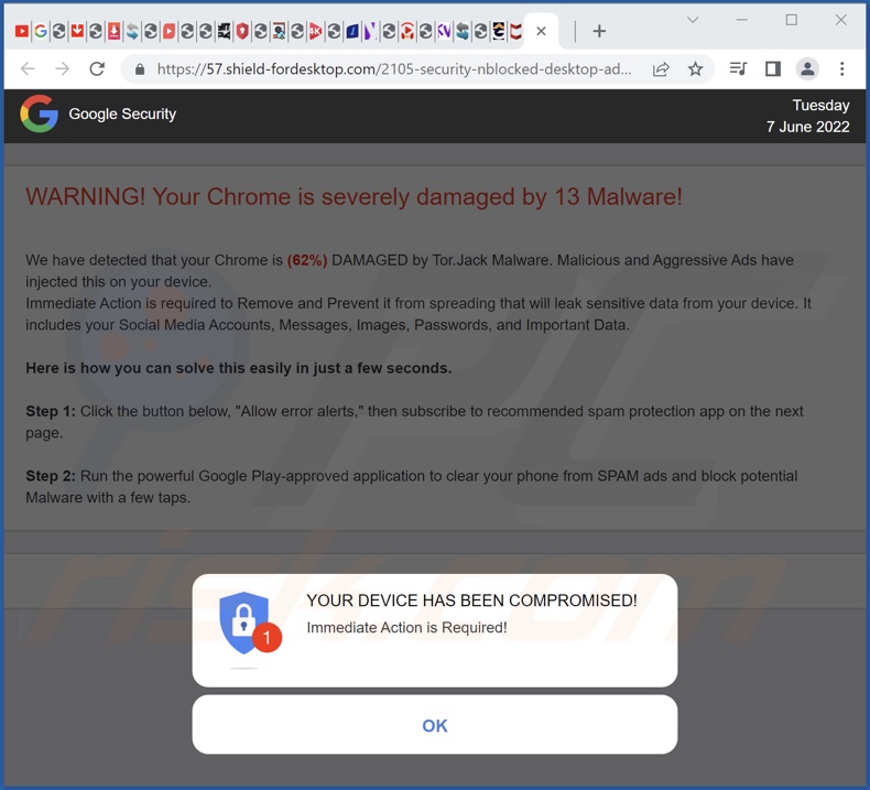 Arnaque promue sur shield-fordesktop[.]com 1