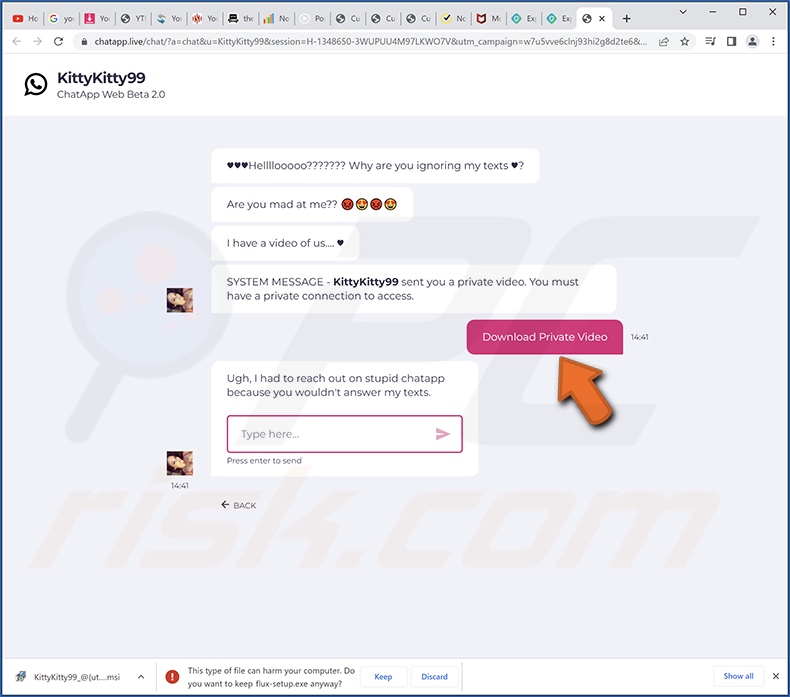 Site Web trompeur utilisé pour promouvoir le pirate de navigateur des paramètres d'extension