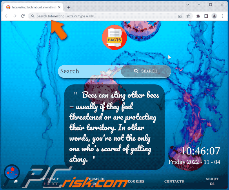 Interesting Facts browser hijacker redirecting to Bing (GIF)