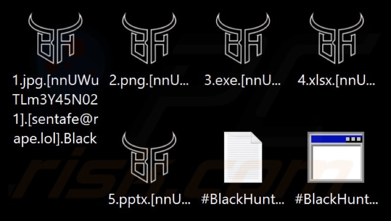 Fichiers cryptés par le rançongiciel Black Hunt (extension .Black)