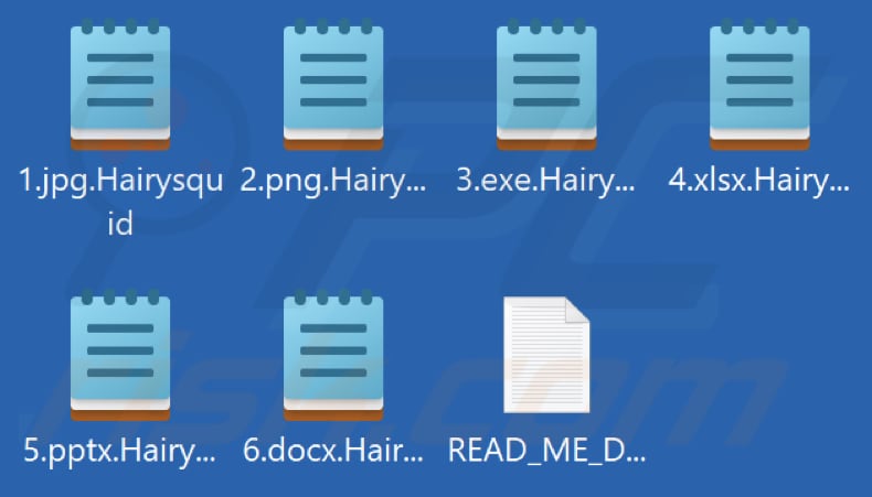 Fichiers cryptés par le rançongiciel Hairysquid (extension .Hairysquid)