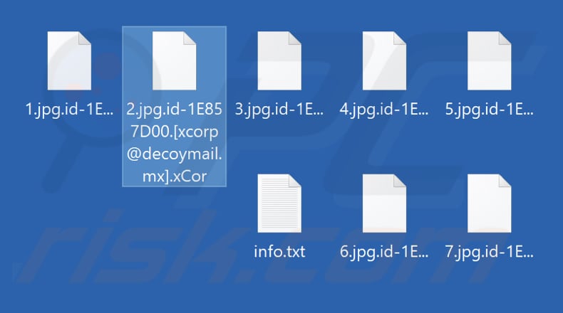 Fichiers cryptés par le rançongiciel xCor (extension .xCor)