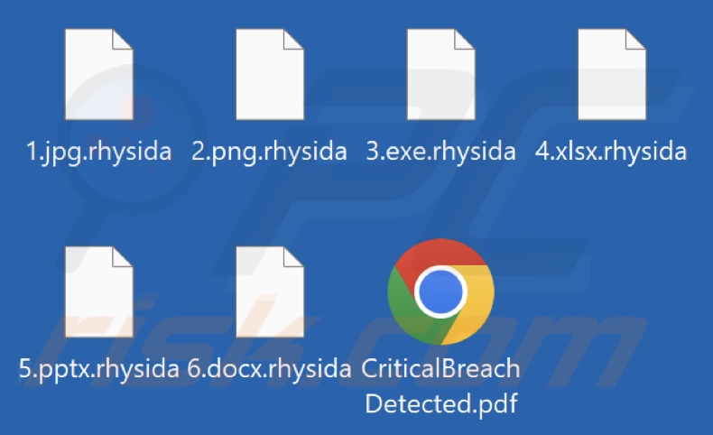 Fichiers cryptés par le rançongiciel Rhysida (extension .rhysida)