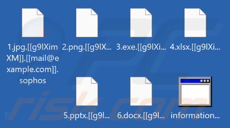 Fichiers chiffrés par le rançongiciel SophosEncrypt (extension .[[victim's_ID]].[[cybercriminal_email]].sophos)