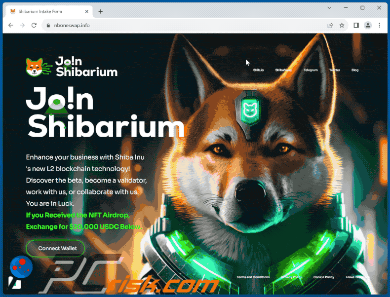 Apparence du site web frauduleux Shibarium scam