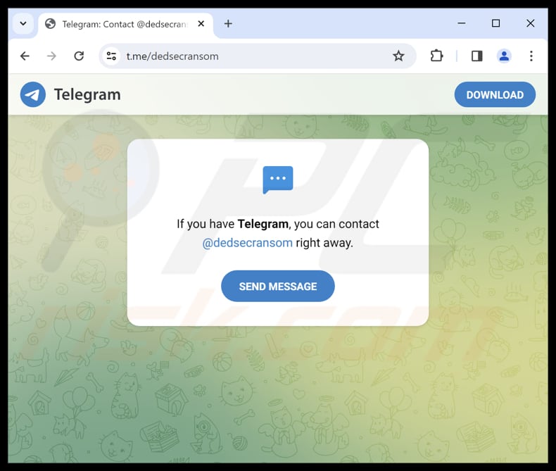 site de contact de Dedsec (Telegram)