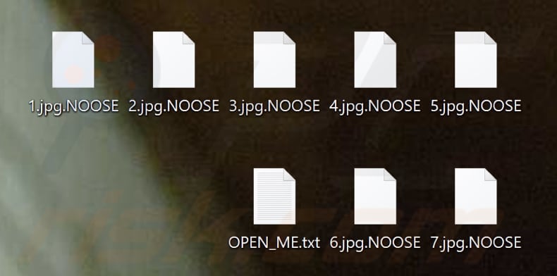Fichiers cryptés par le rançongiciel NOOSE (extension .NOOSE)