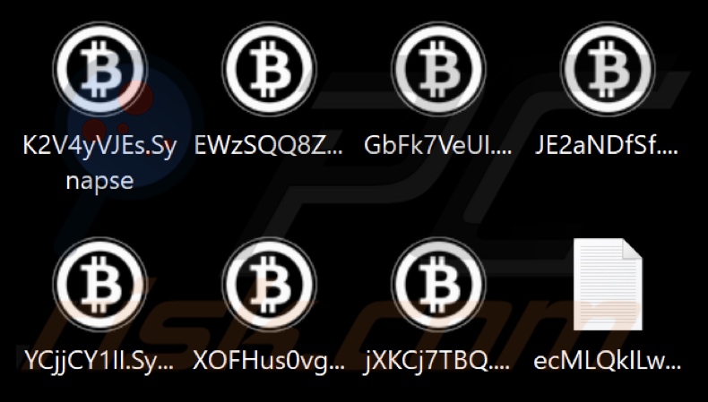 Fichiers cryptés par le ransomware Synapse (extension .Synapse)