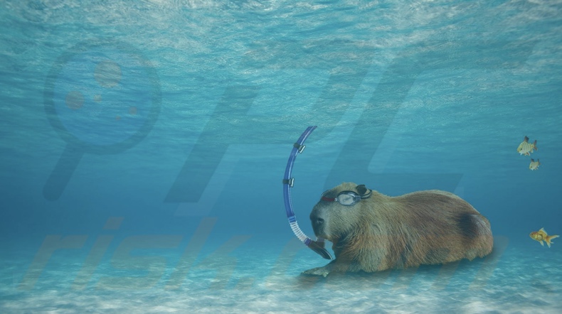 Capibara ransomware papier peint