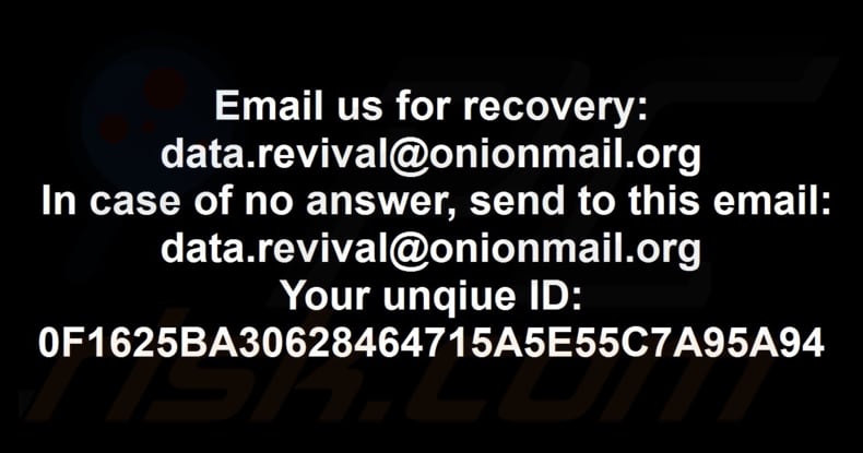 Data ransomware papier peint
