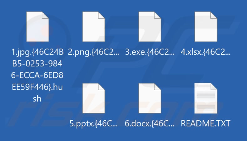 Fichiers cryptés par le ransomware Hush (extension .hush)
