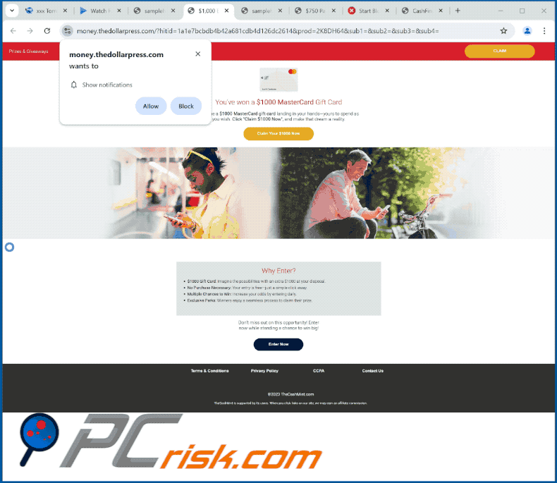 thedollarpress[.]com site web apparence (GIF)