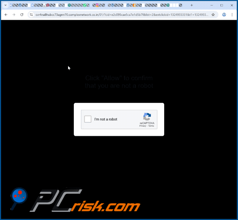 complexnetwork.co[.]in apparence du site web (GIF)
