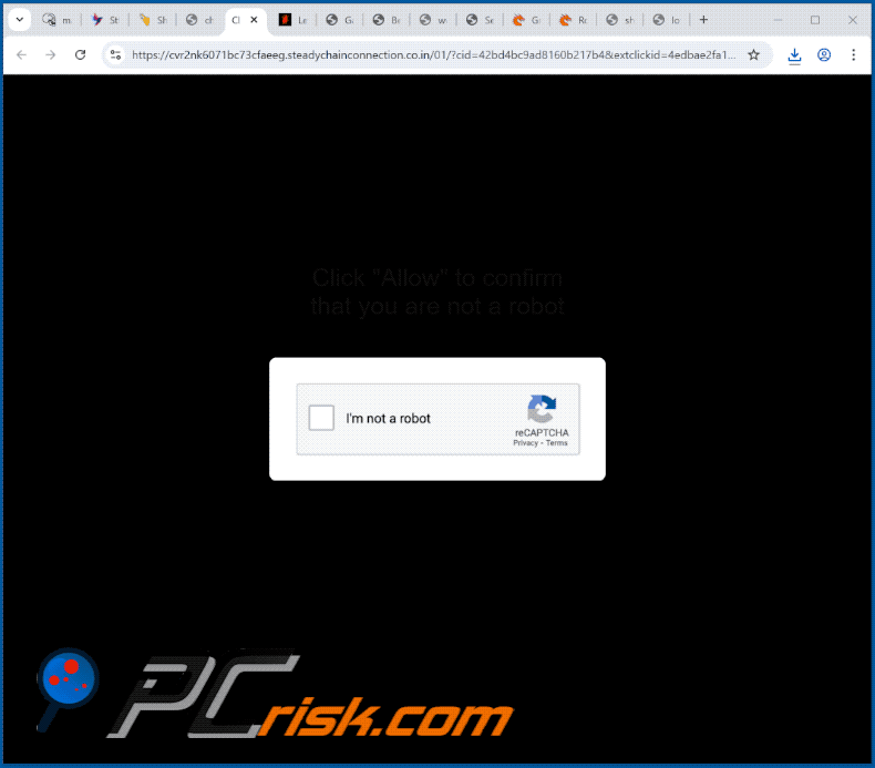 steadychainconnection.co[.]in apparence du site web (GIF)