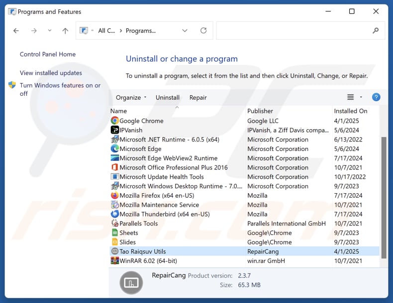 Tao Raiqsuv Utils désinstaller via Control Panel